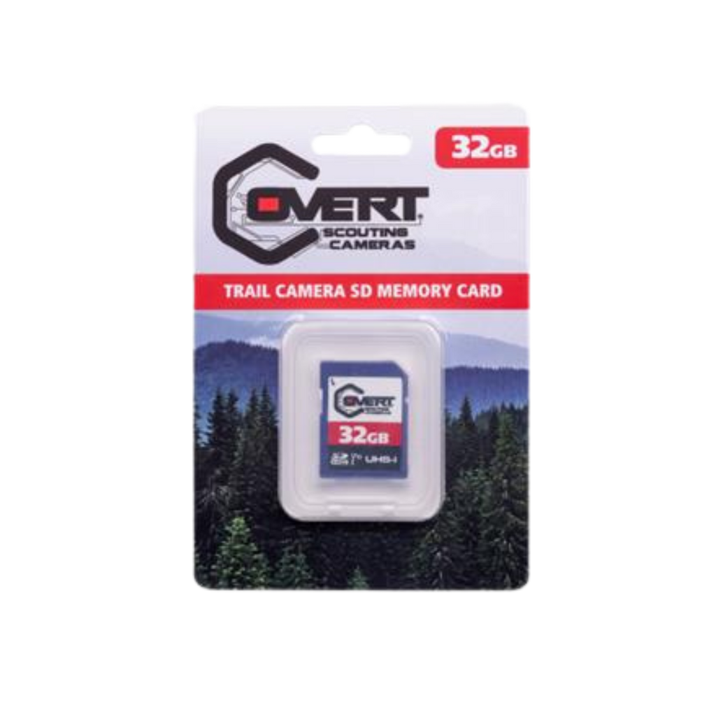 Covert SD Memory Card