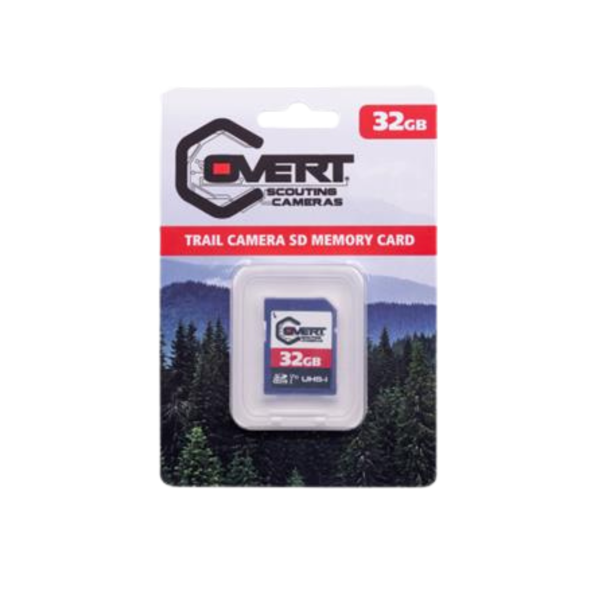 Covert SD Memory Card