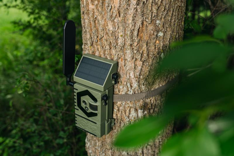 Covert Interceptor Solar Cellular Trail Camera