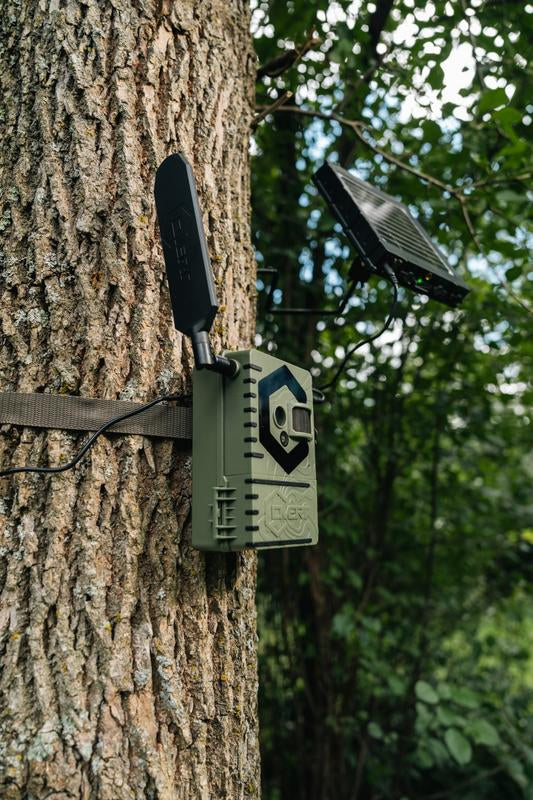 Covert Interceptor Pro Cellular Trail Camera