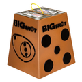 Big Shot Hunter 16 Target
