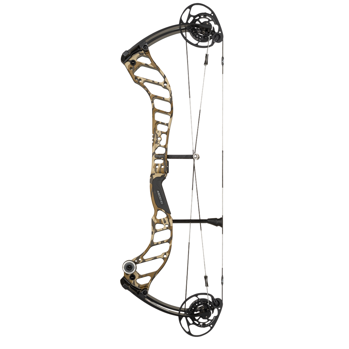 Bowtech Ascend