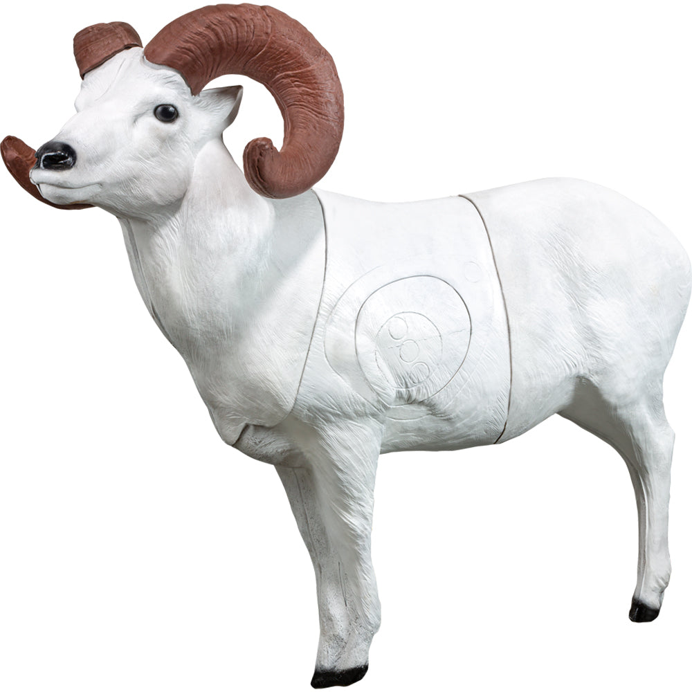 Real Wild 3D Dall Sheep – Bear River Archery