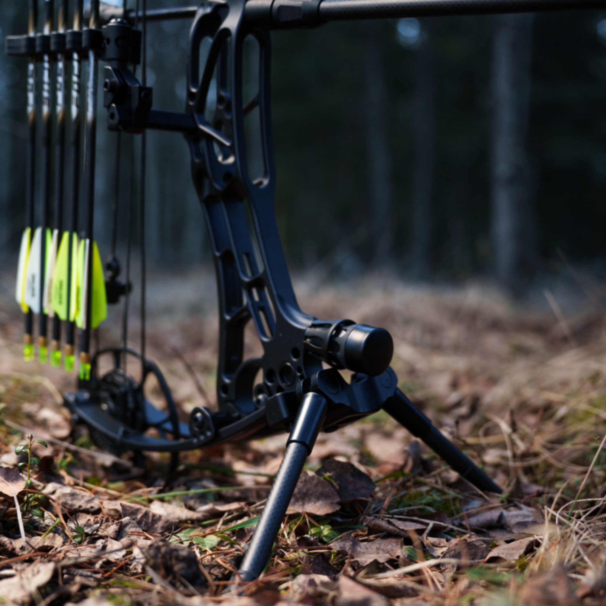 Darton Foldable Bow Stand