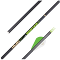 Gold Tip Hunter XT Arrows