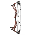 Hoyt Alpha AX-3 33"