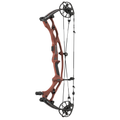 Hoyt Carbon RX-10