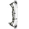 Hoyt Carbon RX-10