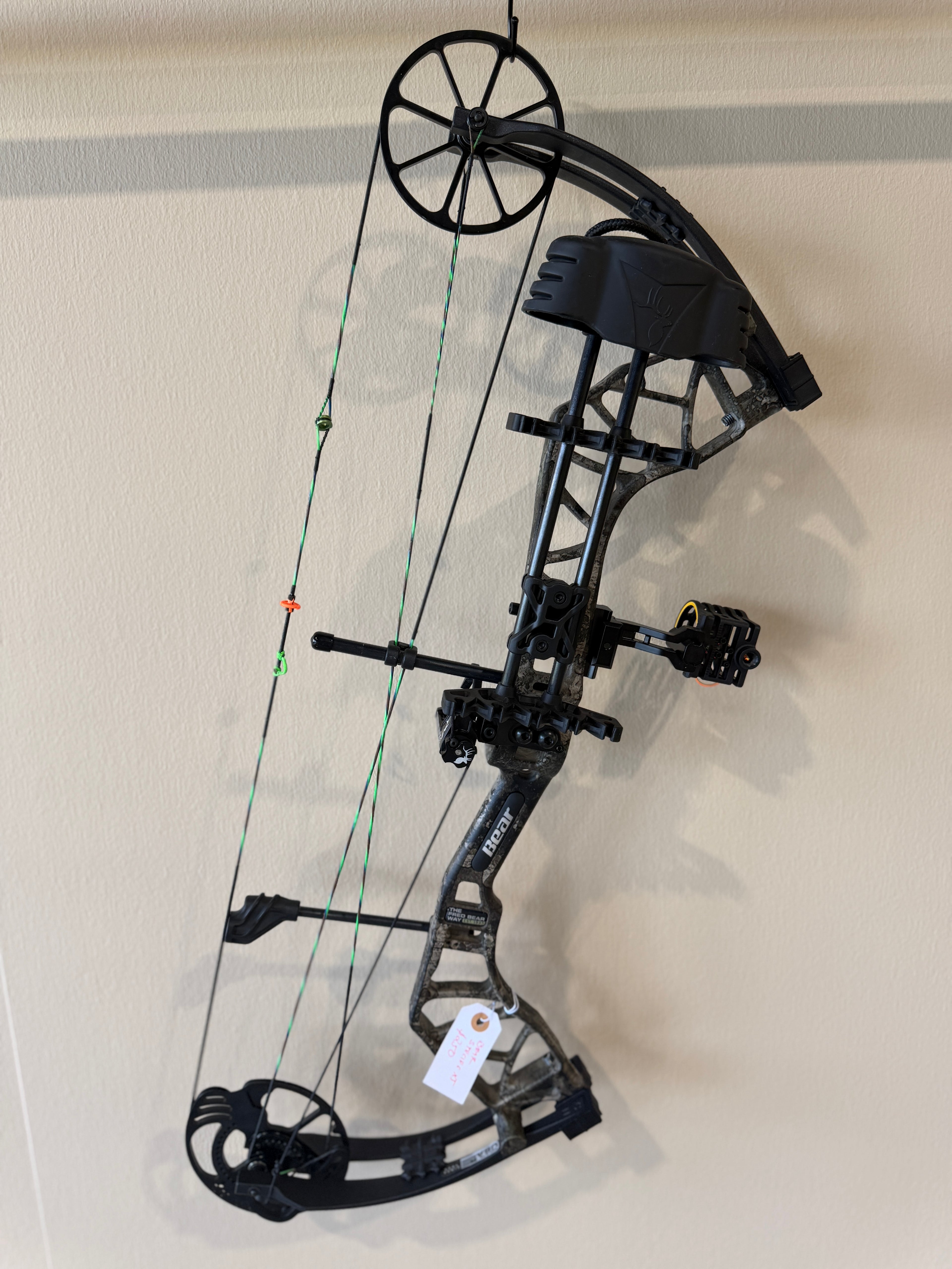 Bear Species XT