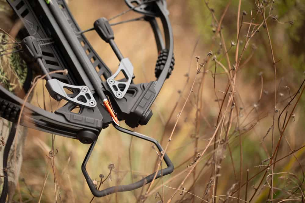 Rage Crossbow X NC 2-Blade Broadheads