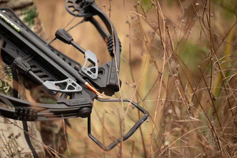 Rage Crossbow X NC 2-Blade Broadheads