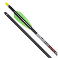 TenPoint Pro Elite 400 Arrows