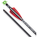 Ten Point 16in EVO-X  Lighted CenterPunch Arrows (3-Pack)