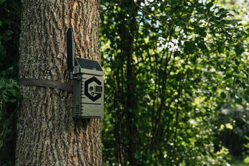 Covert Interceptor Solar Cellular Trail Camera