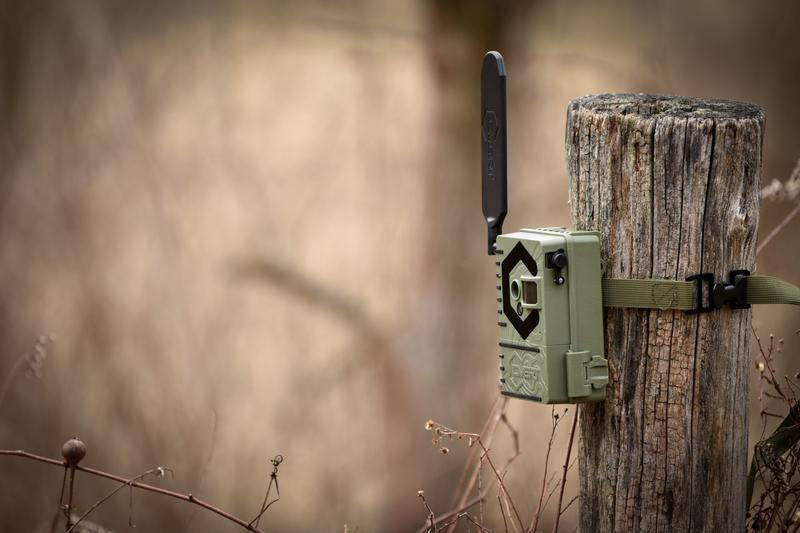 Covert Interceptor Cellular Trail Camera