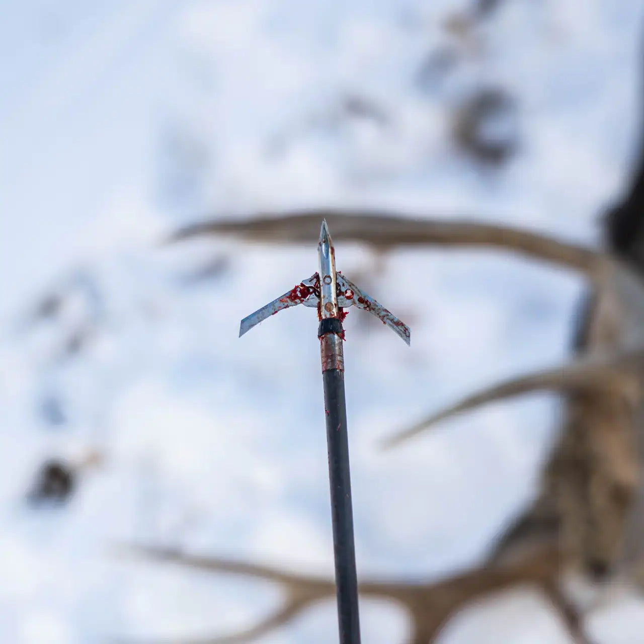 Rage Hypodermic Trypan NC Broadheads (3-Pack)