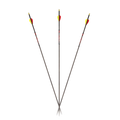 Carbon Express Predator SD Carbon Hunting Arrows (12-Pack)