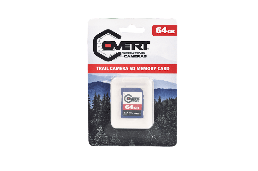 Covert SD Memory Card
