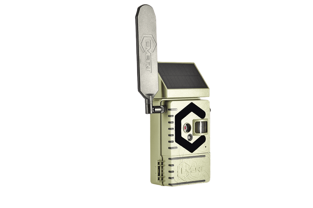 Covert Interceptor Solar Cellular Trail Camera