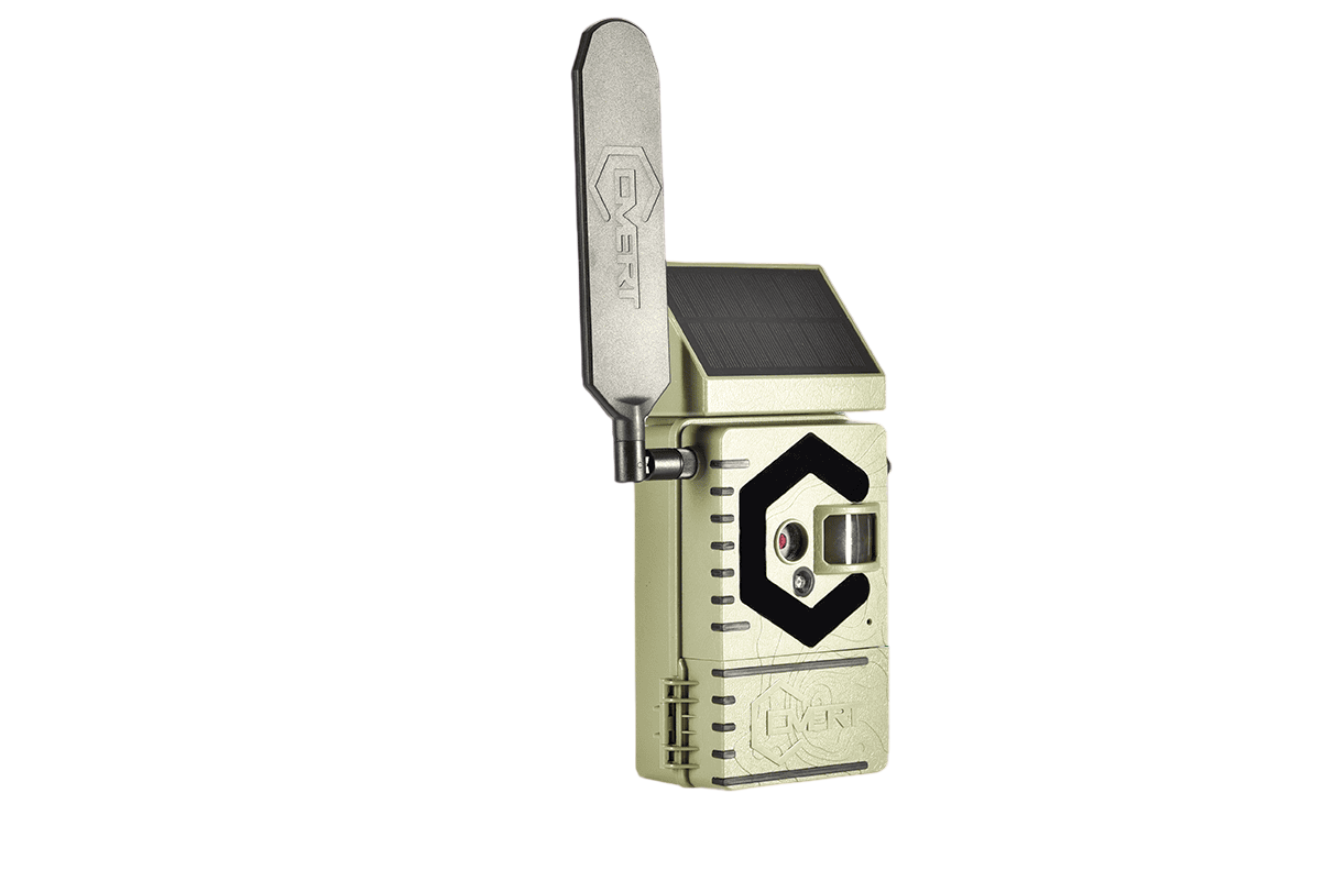 Covert Interceptor Solar Cellular Trail Camera