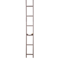Rhino 20-Foot Mini Ladder Climbing Stick