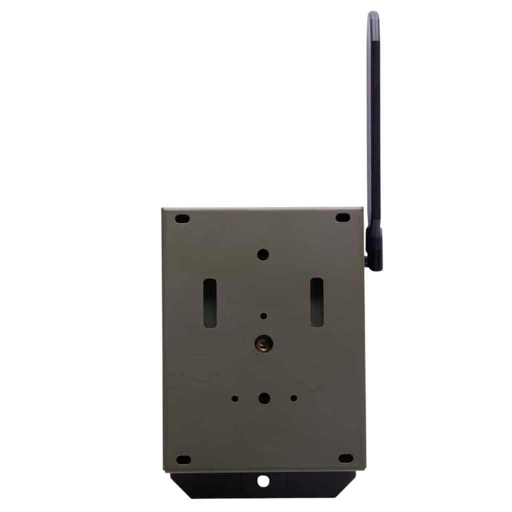 Covert Interceptor Series Bear and Security Safe Box