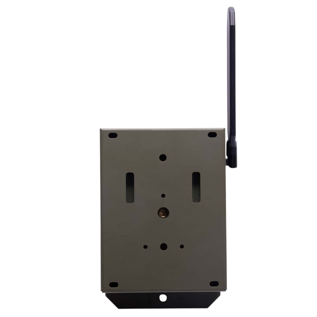 Covert Interceptor Series Bear and Security Safe Box