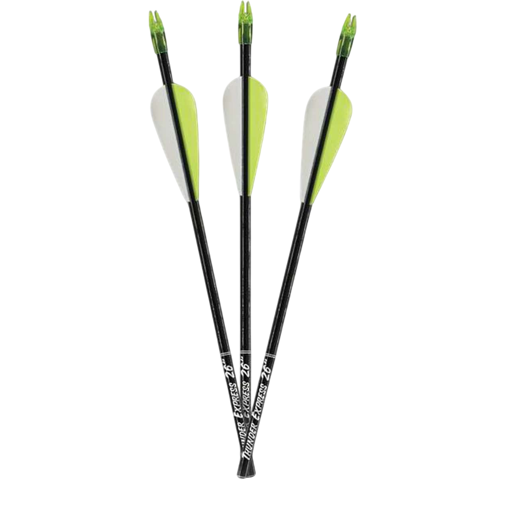 Carbon Express Thunder Express Fletched Youth Target Arrows