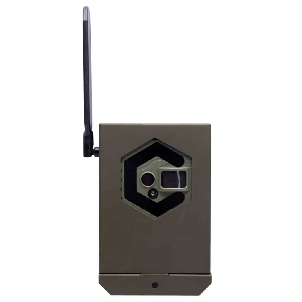 Covert Interceptor Series Bear and Security Safe Box