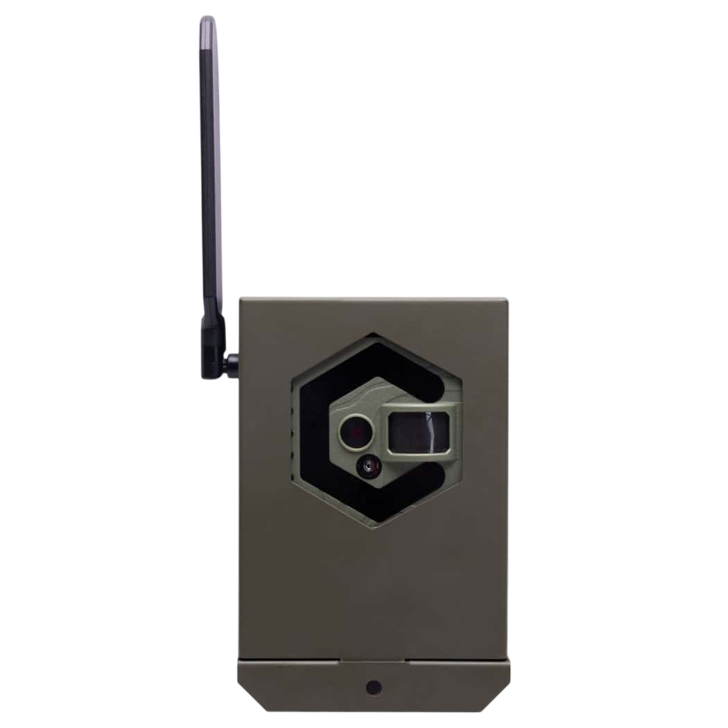 Covert Interceptor Series Bear and Security Safe Box