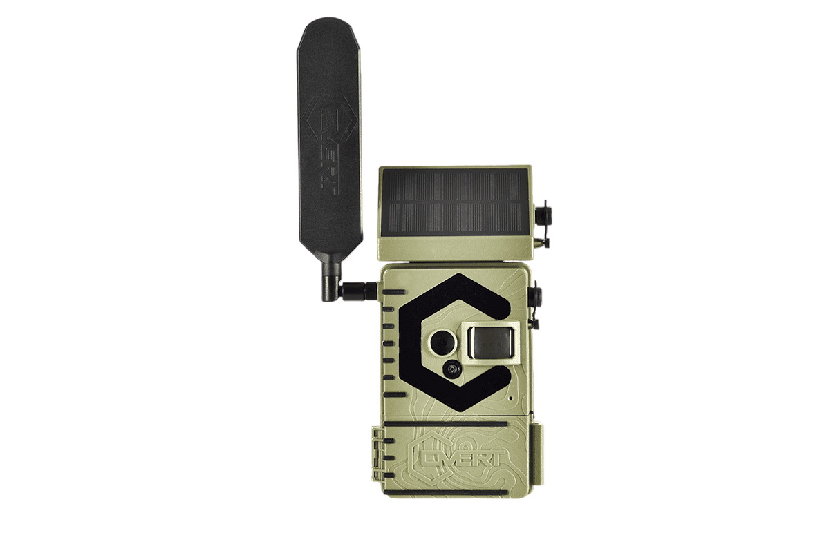 Covert Interceptor Solar Cellular Trail Camera
