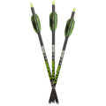 Carbon Express TANK 27 Carbon Indoor Target Precision Arrows