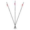AXE 6 Pack .166" Micro Diameter 19" Crossbolts
