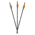 Carbon Express Game Slayer Carbon Hunting Arrows