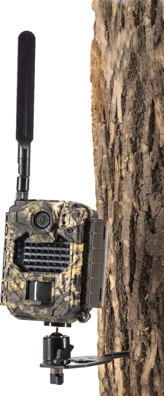 Covert T60 Adjustable Tree Trail Camera Mount (2-Pack)
