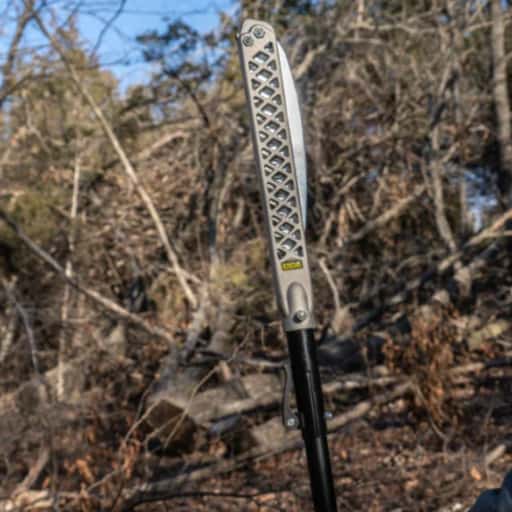 Wicked Tough Pole Saw