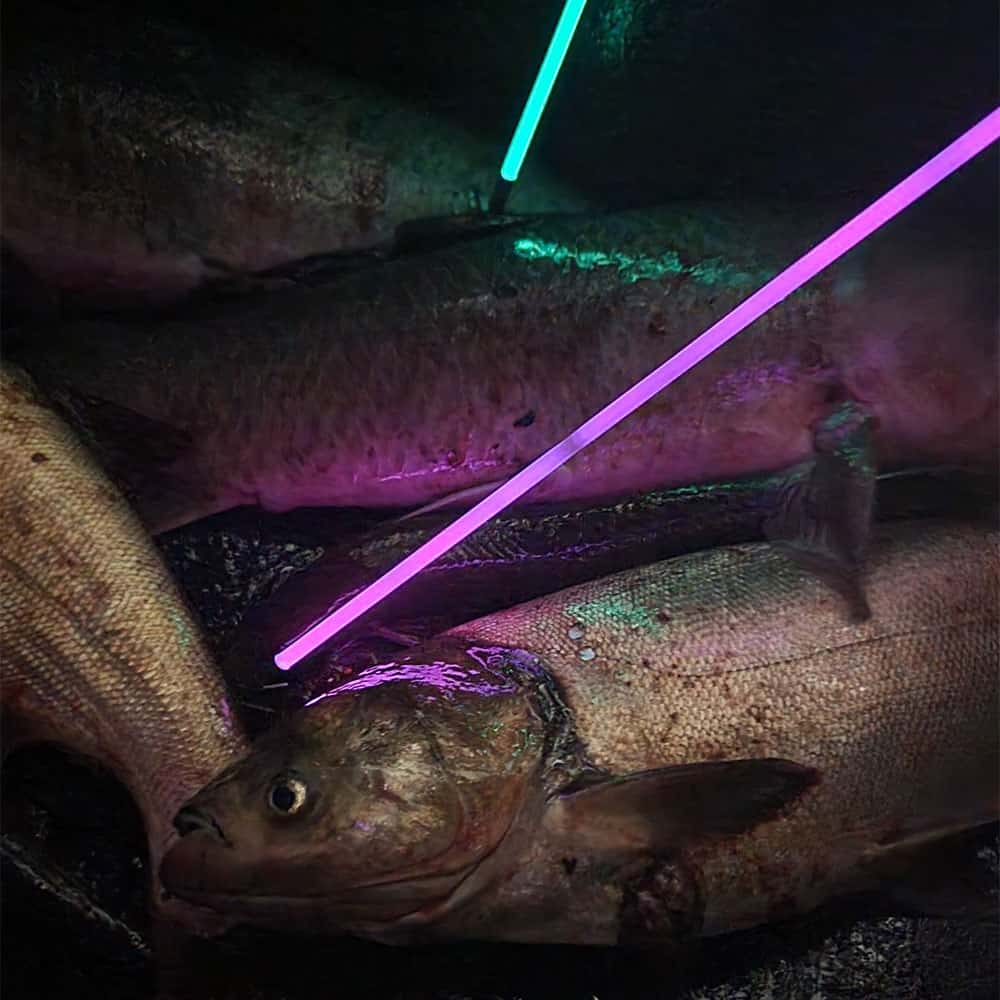 Muzzy Bowfishing Sabre Lighted Fiberglass Arrow